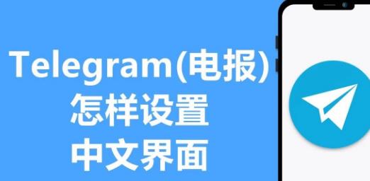 What Is 'bio' in Telegram?